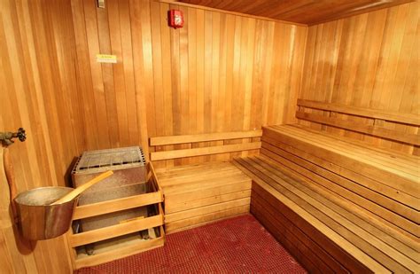 gay porn in the sauna|men.